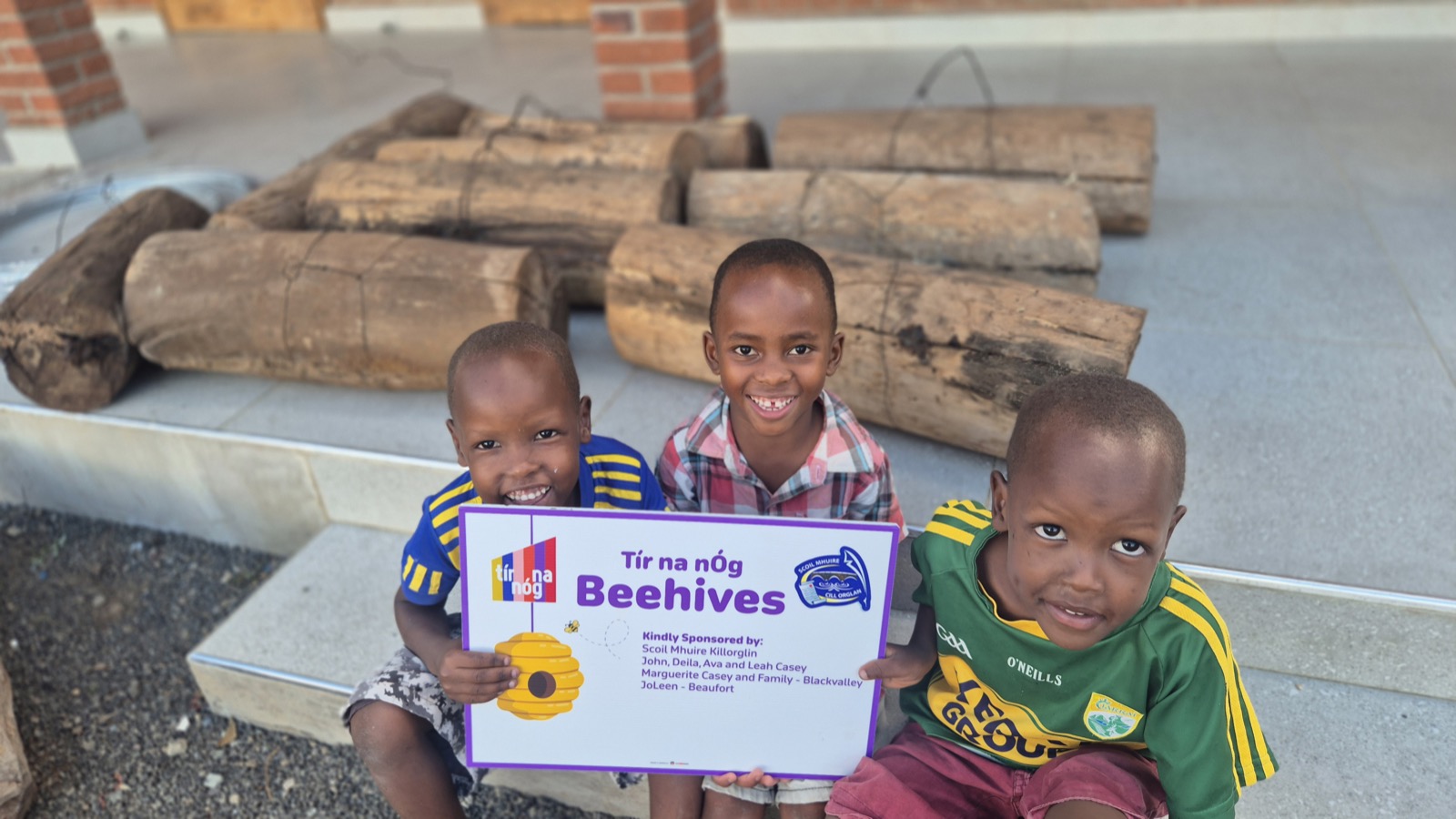 The beehive project
